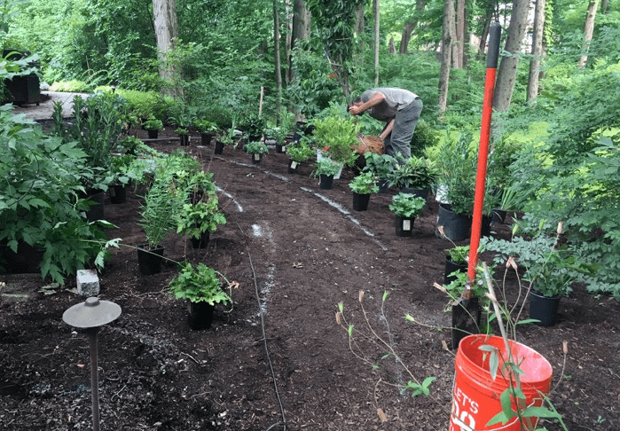Watering in the fall – why it’s good for your plants